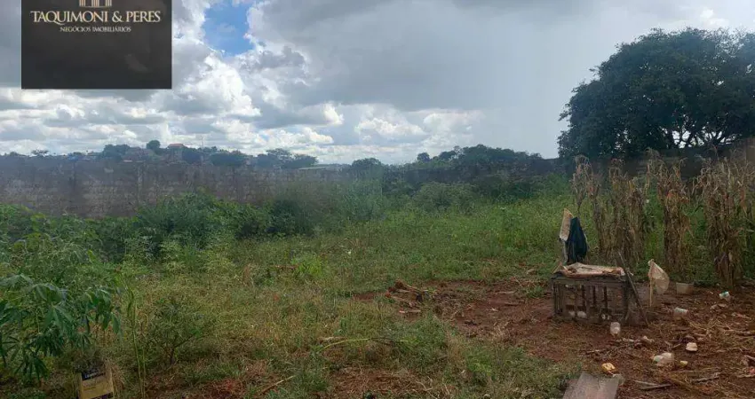Lote de  446 metros, murado, aterrado e com portão!