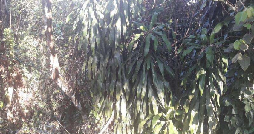 Terreno em condomínio fechado à venda na Rua Maranhão, quadra 23, Arujázinho I, II e III, Arujá