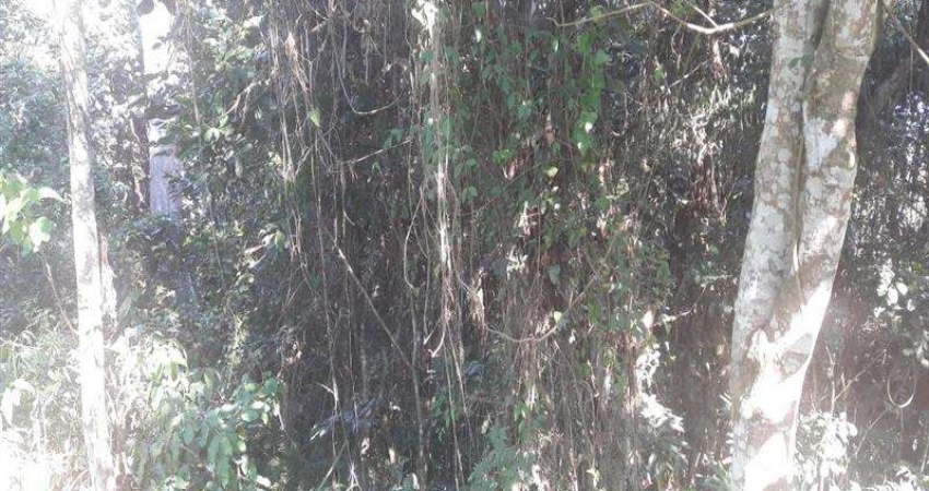 Terreno em condomínio fechado à venda na Rua Maranhão, QUADRA 23, Arujázinho I, II e III, Arujá