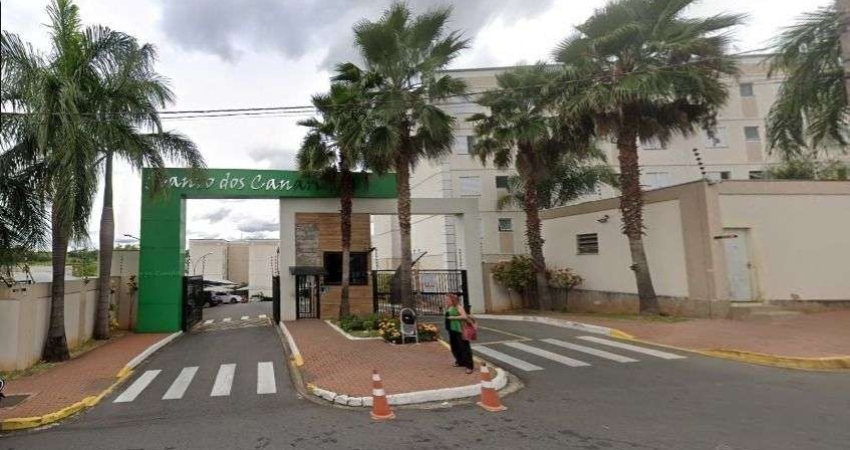 **Seu Novo Apê em Campinas! Aconchego e Mobilidade no Jardim Bom Sucesso**