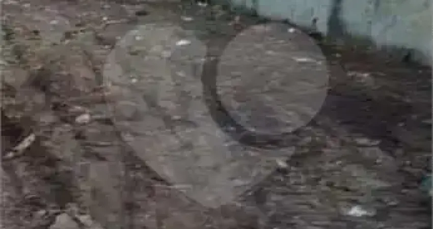 Terreno à venda no Indaia, Bertioga 