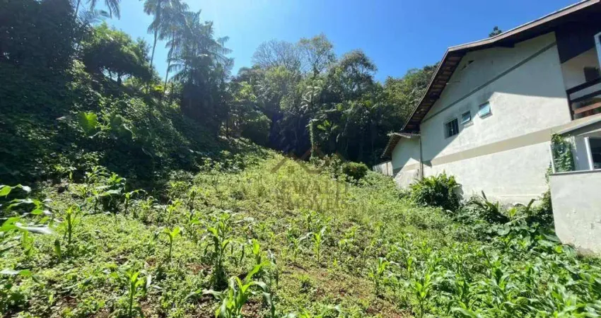 Terreno à venda, 17000 m² por r$ 299.000,00 - centro - pomerode/sc