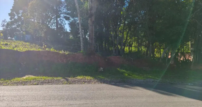 Excelente terreno localizado na vila santa maria em piraquara