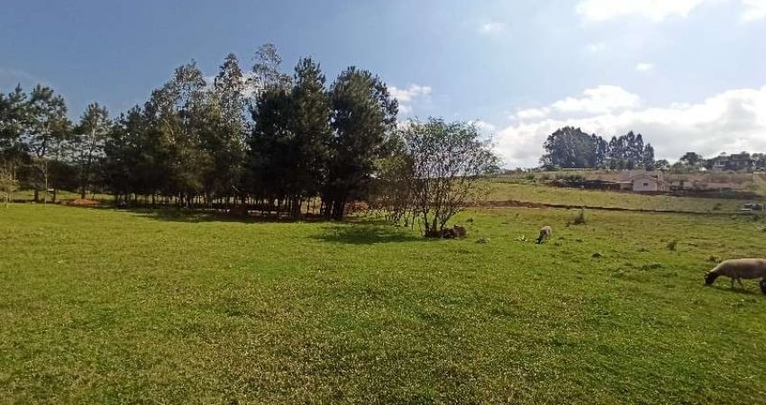 Terreno à venda na Linha Colonia Cella, Interior, Chapecó