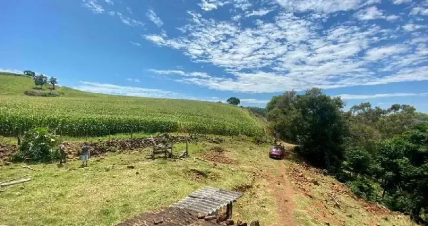 Terreno à venda na Linha Tarumã, Zona Rural, Coronel Freitas