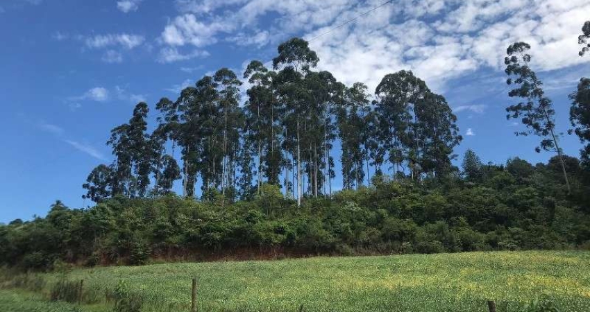 Terreno à venda na Linha Tafona, Interior, Chapecó