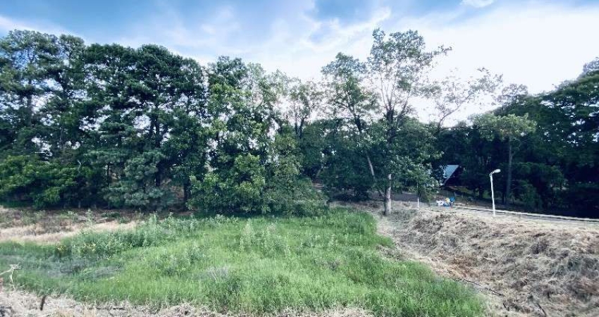 Terreno à venda na Luiz Lunardi, Jardins, Chapecó