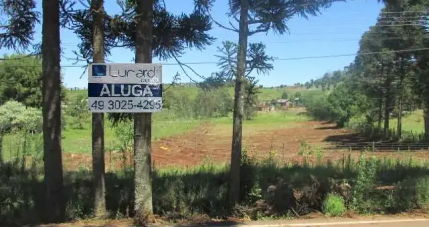 Terreno comercial para alugar na Rodovia SC-480, SN, Centro (Marechal Bormann), Chapecó