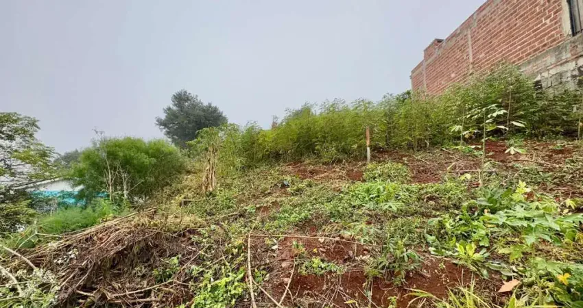 Terreno à venda na Heitor Villas Lobos, 1943, Esplanada, Chapecó