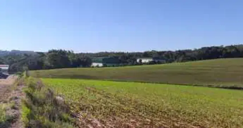 Terreno comercial à venda na Acesso Plínio Arlindo de Nes, 274, Trevo, Chapecó