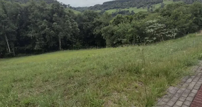 Terreno à venda na Porto Chalana, 480, Interior, Guatambú