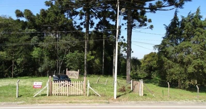 Terreno à venda na RUA PREFEITO ROMUALDO SOBOCINSKI, 1899, Campo Redondo, Araucária