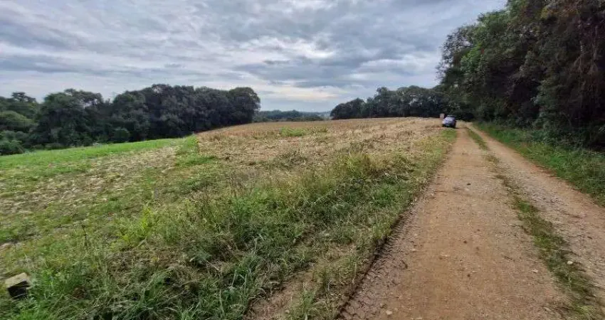 ÁREA RURAL ? PARA VENDA
