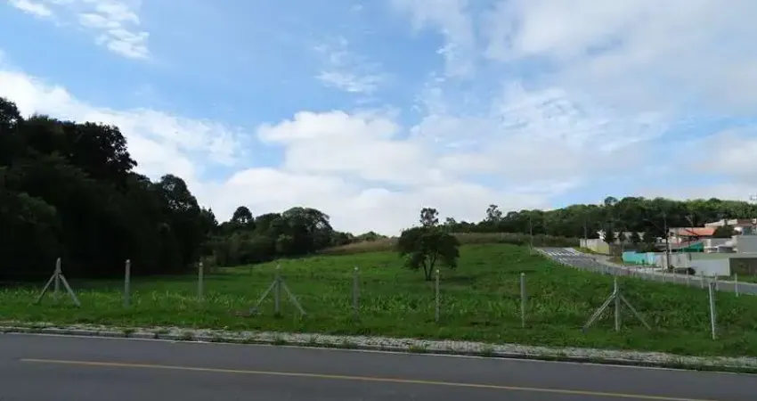 Terreno à venda na Rua Leonardo Karas, S/N°, Porto das Laranjeiras, Araucária