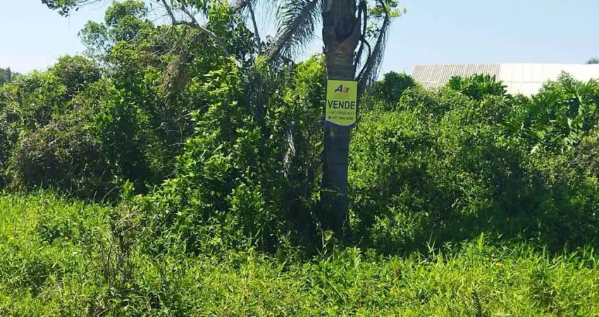 Terreno em Praia para Venda em Balneário Barra do Sul, Salinas