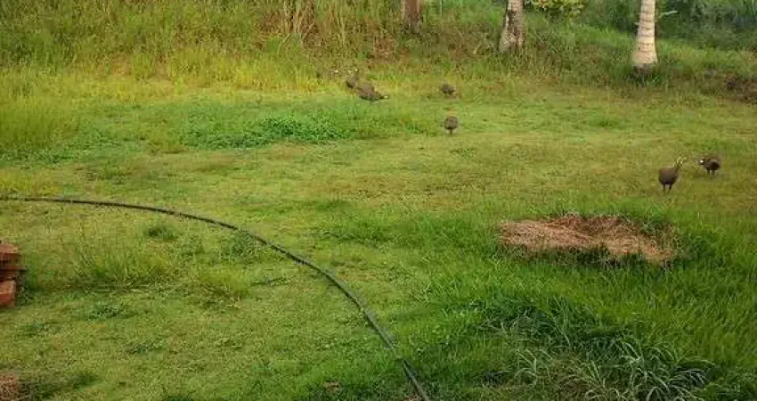 Chácara / sítio com 2 quartos à venda na Área Rural de Iracemápolis, Iracemápolis 