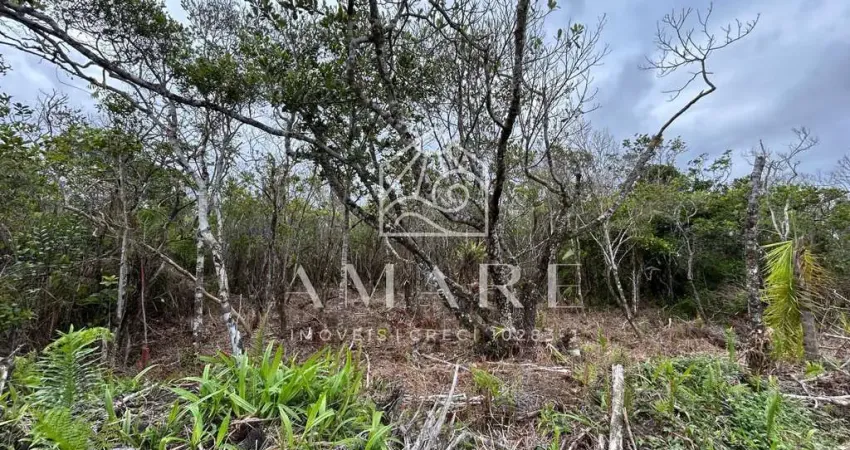 Terreno à venda na Praia do Ervino, São Francisco do Sul 