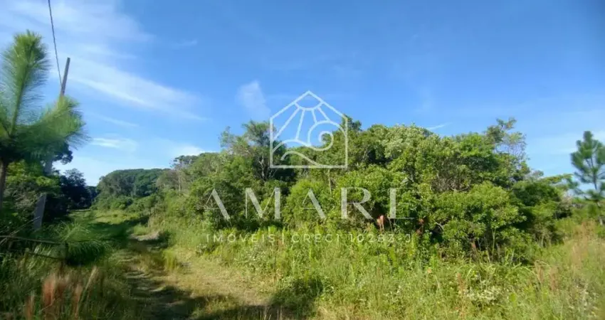 Terreno à venda na Praia do Ervino, São Francisco do Sul 