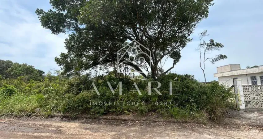 Terreno à venda na Praia do Ervino, São Francisco do Sul 