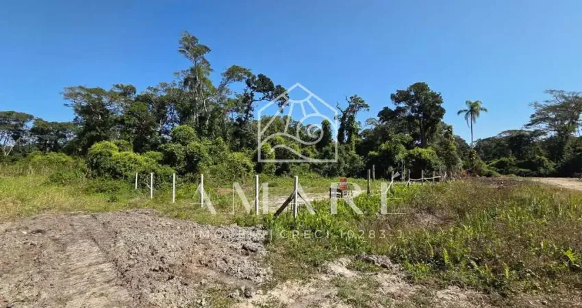 Terreno à venda na Praia do Ervino, São Francisco do Sul 