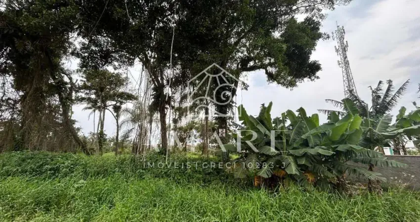 Terreno à venda na Praia do Ervino, São Francisco do Sul 