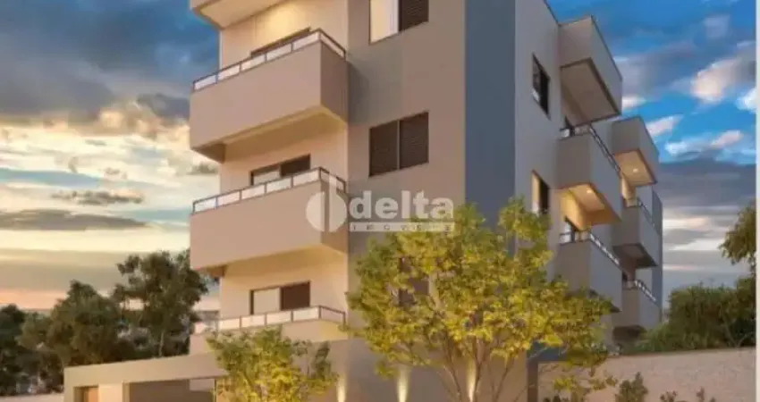 Apartamento para Venda em Uberlândia, Santa Mônica, 3 dormitórios, 1 suíte, 2 banheiros, 2 vagas