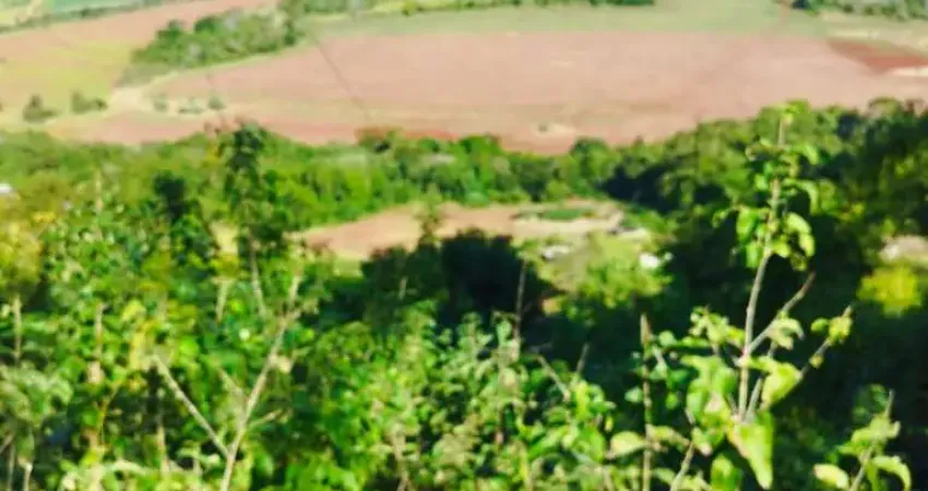 Chácara / sítio à venda na Estrada dos Coroados, Jardim Paraná, Londrina