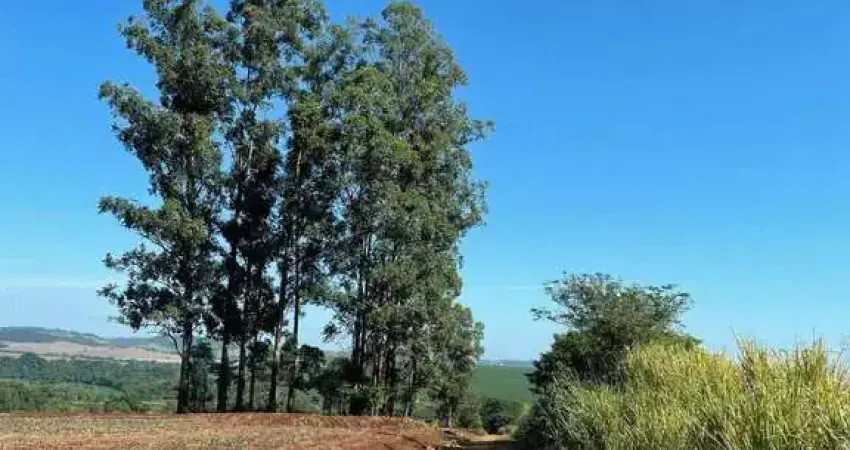 Fazenda à venda no Centro, Jataizinho