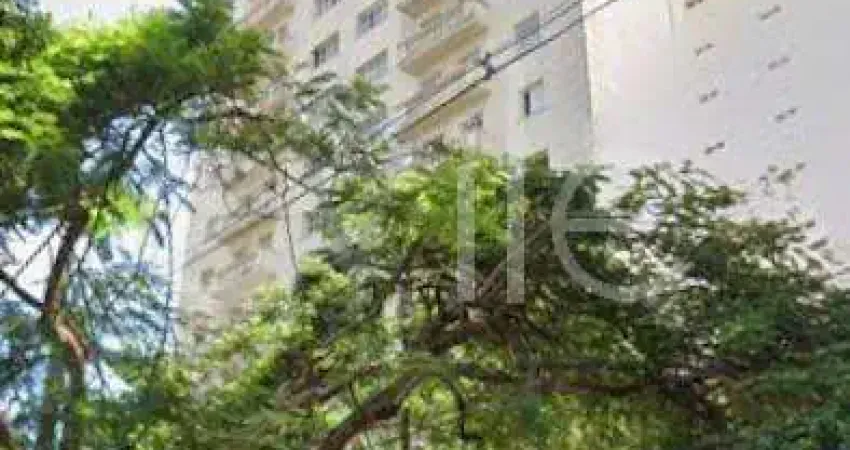 Apartamento com 3 quartos à venda no Cambuí, Campinas 