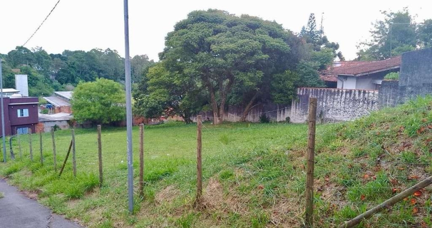Terreno à venda na Avenida Dona Cherubina Viana, Vila Santo Antônio, Cotia - SP