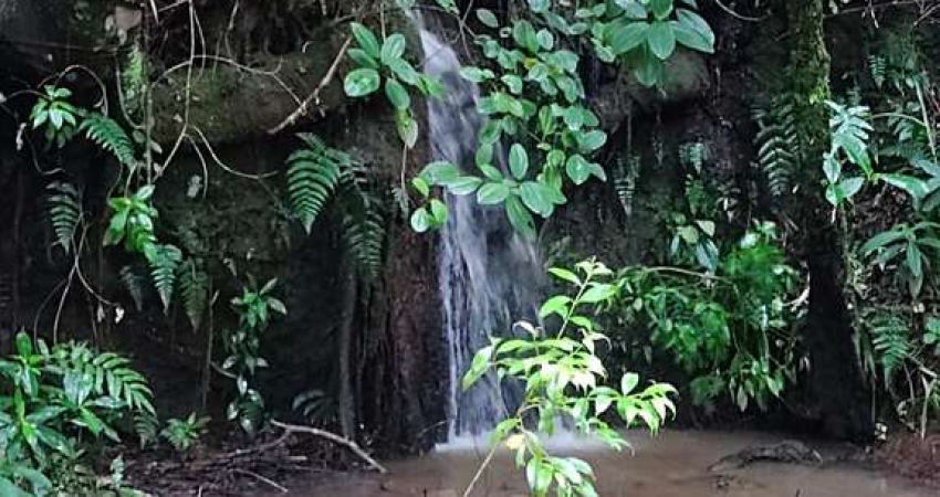 Fazenda à venda na Fazenda Serra das Flores, Olaria, Olaria - MG
