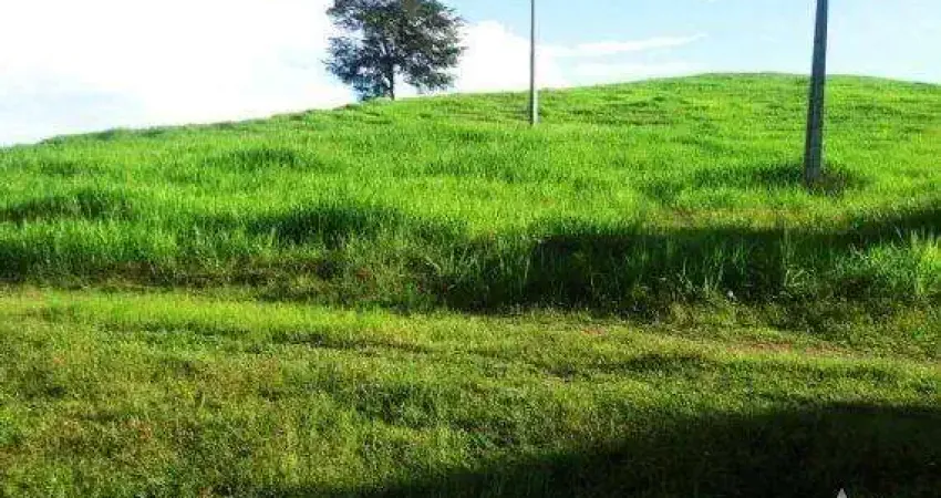 Fazenda à venda na Zona Rural, Nova Brasilândia 