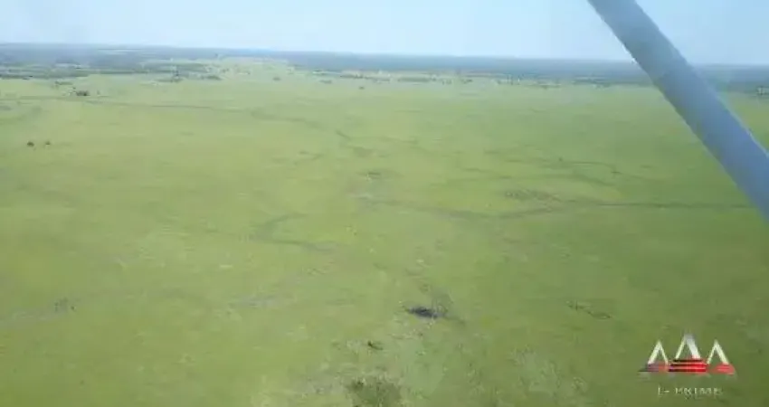 Fazenda à venda na Zona Rural, Poconé 
