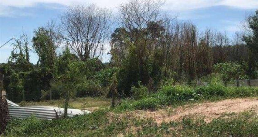 Terreno comercial para alugar na Rua dos Crisântemos, Jardim Cuiabá, Cuiabá