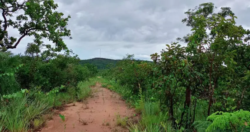 Fazenda  366 ha dupla aptidão  cerrado rico e georreferenciamento
