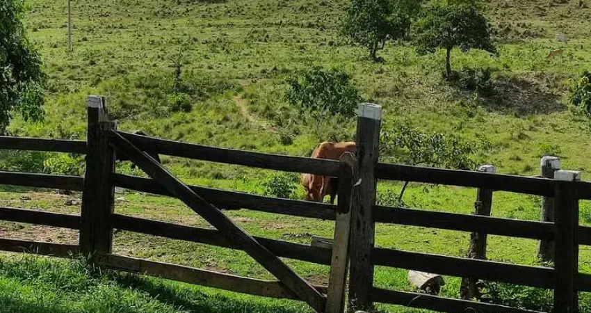 Fazenda à venda na Zona Rural, Poconé 