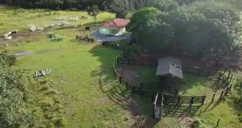 Fazenda à venda na Zona Rural, Rosário Oeste 