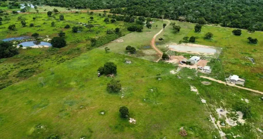 Fazenda à venda na Zona Rural, Nossa Senhora do Livramento 