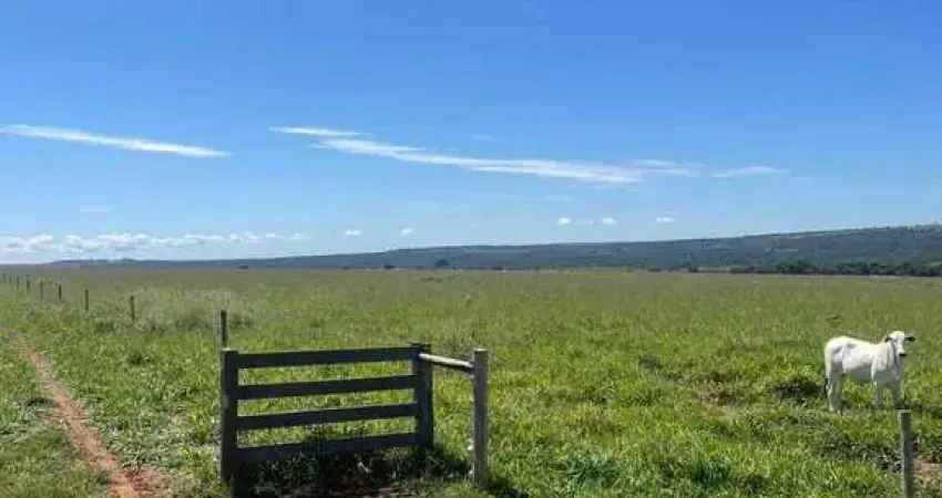 Fazenda à venda na Área Rural, sn, Área Rural de Rondonópolis, Rondonópolis