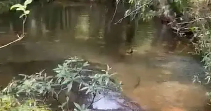 Fazenda à venda na Zona Rural, Jaciara 