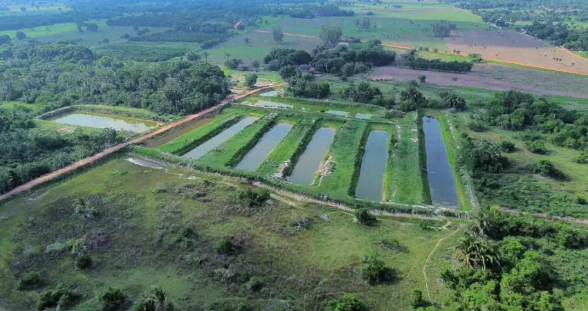 Fazenda à venda na Br 364, Zona Rural, Santo Antônio do Leverger