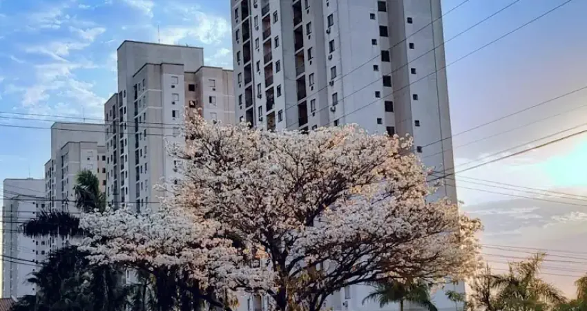 Apartamento com 3 quartos à venda na Avenida Rita Vieira de Andrade, 658, Parque Residencial Rita Vieira, Campo Grande