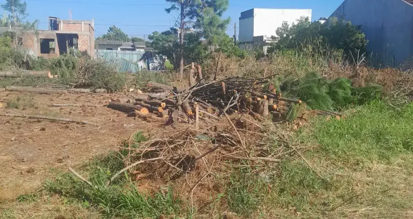 Terreno 12×25m, escriturado, ideal para moradia ou pavilhão , bem localizado.