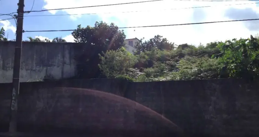 Terreno comercial à venda na Rua Mariana Najar, Vila Oliveira, Mogi das Cruzes