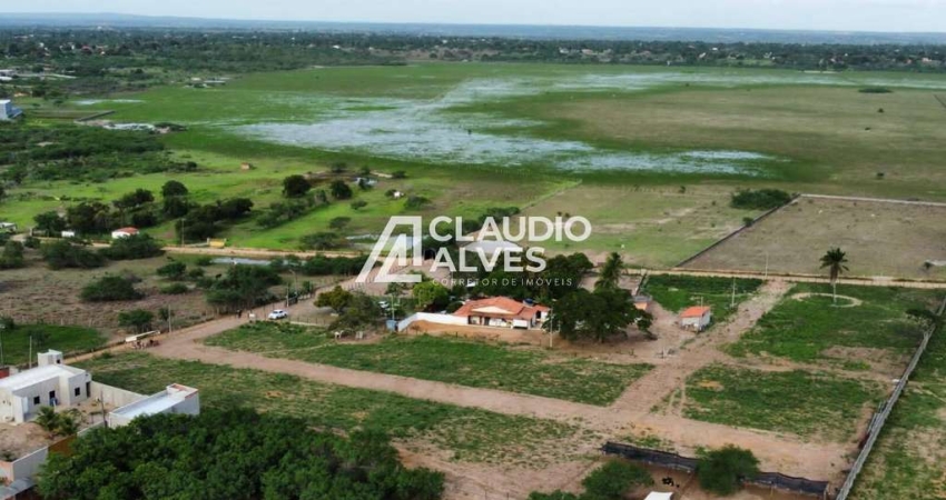 Terreno à venda na Avenida Antônio Carlos Sampaio Marques, Papagaio, Feira de Santana