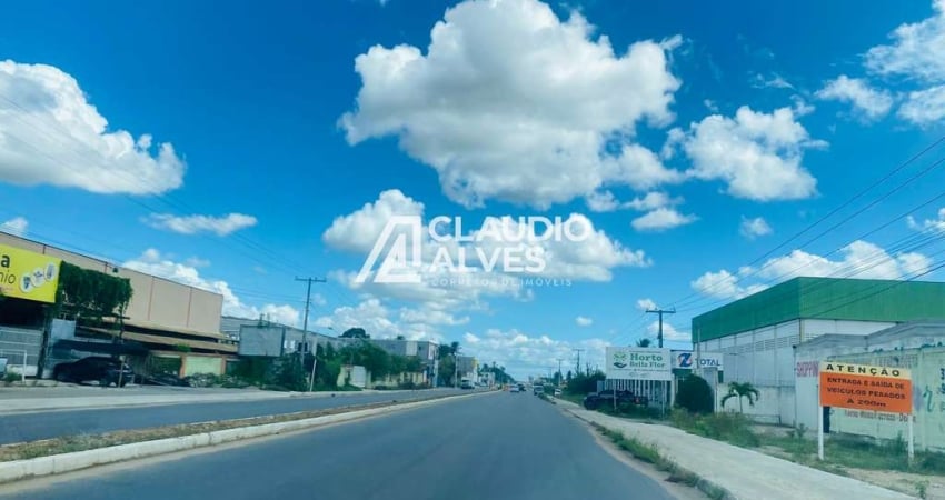 TERRENO COM 22.000 M2 NA BA 502 FEIRA DE SANTANA SÃO GONSALO