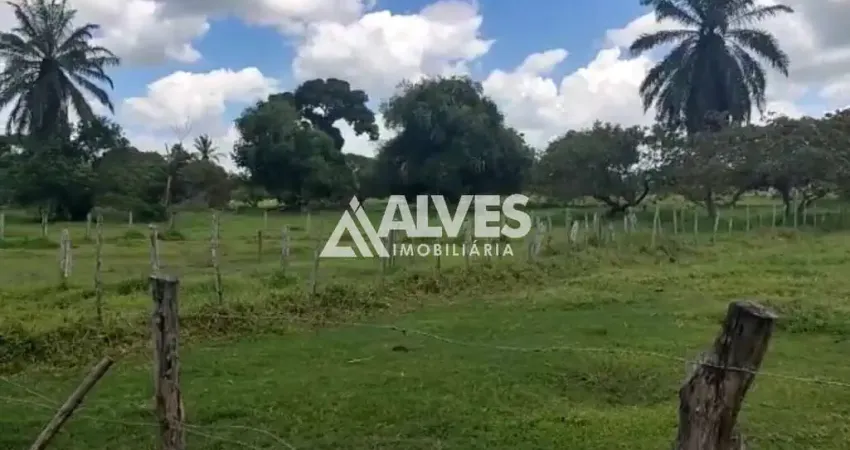 Fazenda à venda na Zona Rural, Serra Preta 