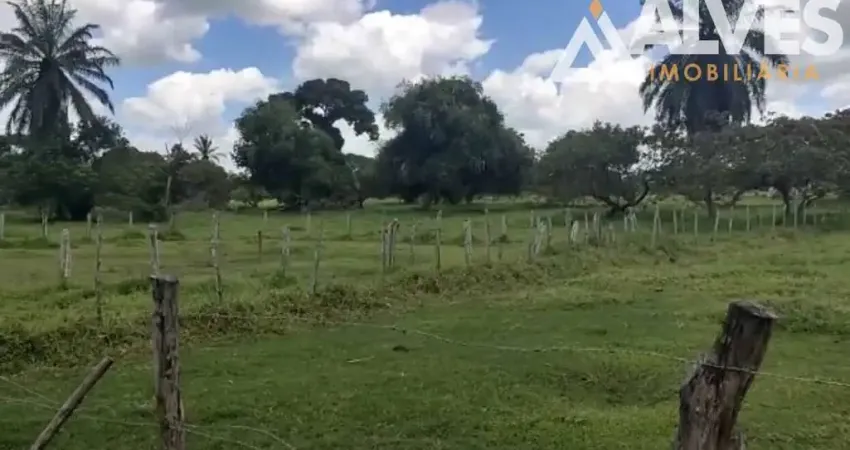 Chácara / sítio à venda na Zona Rural, Serra Preta