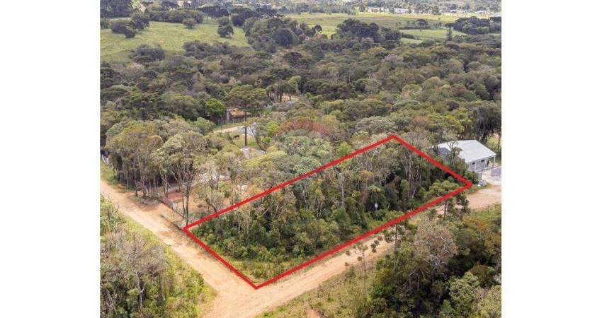 CHÁCARA DE 1.040m² EM SÃO JOSÉ DOS PINHAIS - BORDA DO CAMPO