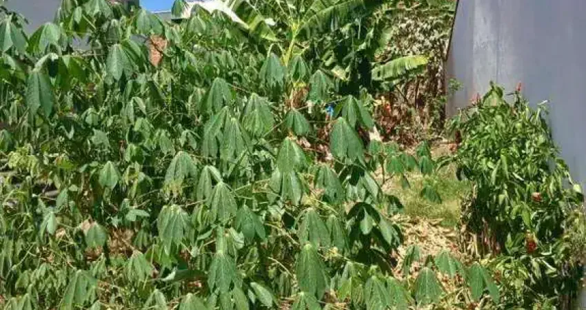 Terreno à venda, 150 m² por r$ 160.000,00 - loteamento terras de são pedro e são paulo - salto/sp